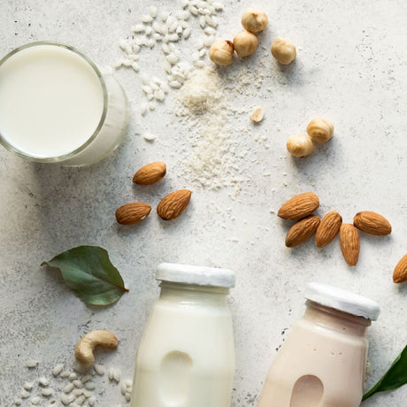 The best vegan milks in 2025